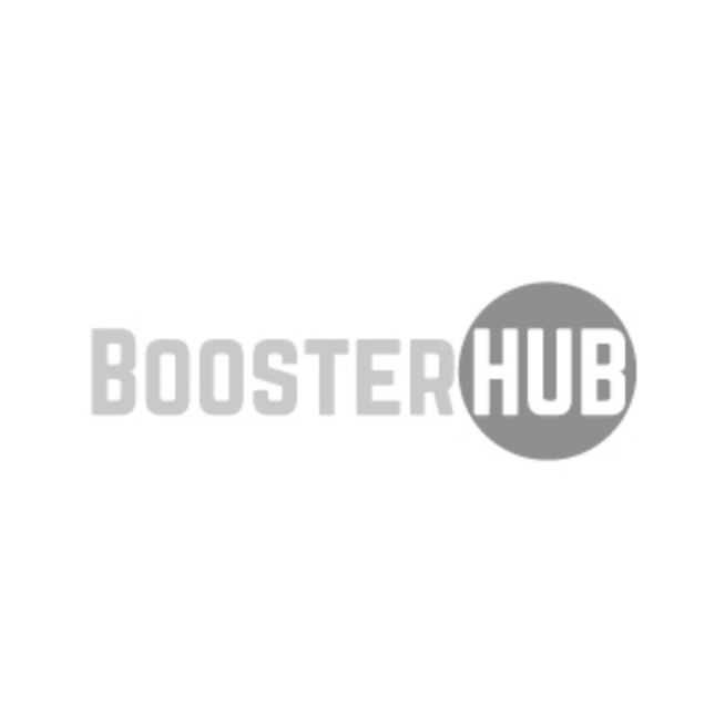 BoosterHub Logo